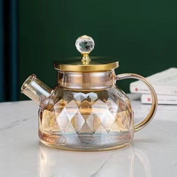 Bouilloire en verre borosilicate avec couvercle en inox