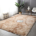 Tapis moderne en peluche douce pour salon
